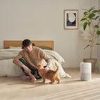 Xiaomi Smart Air Purifier 4 Compact EU-Wolf Media Store