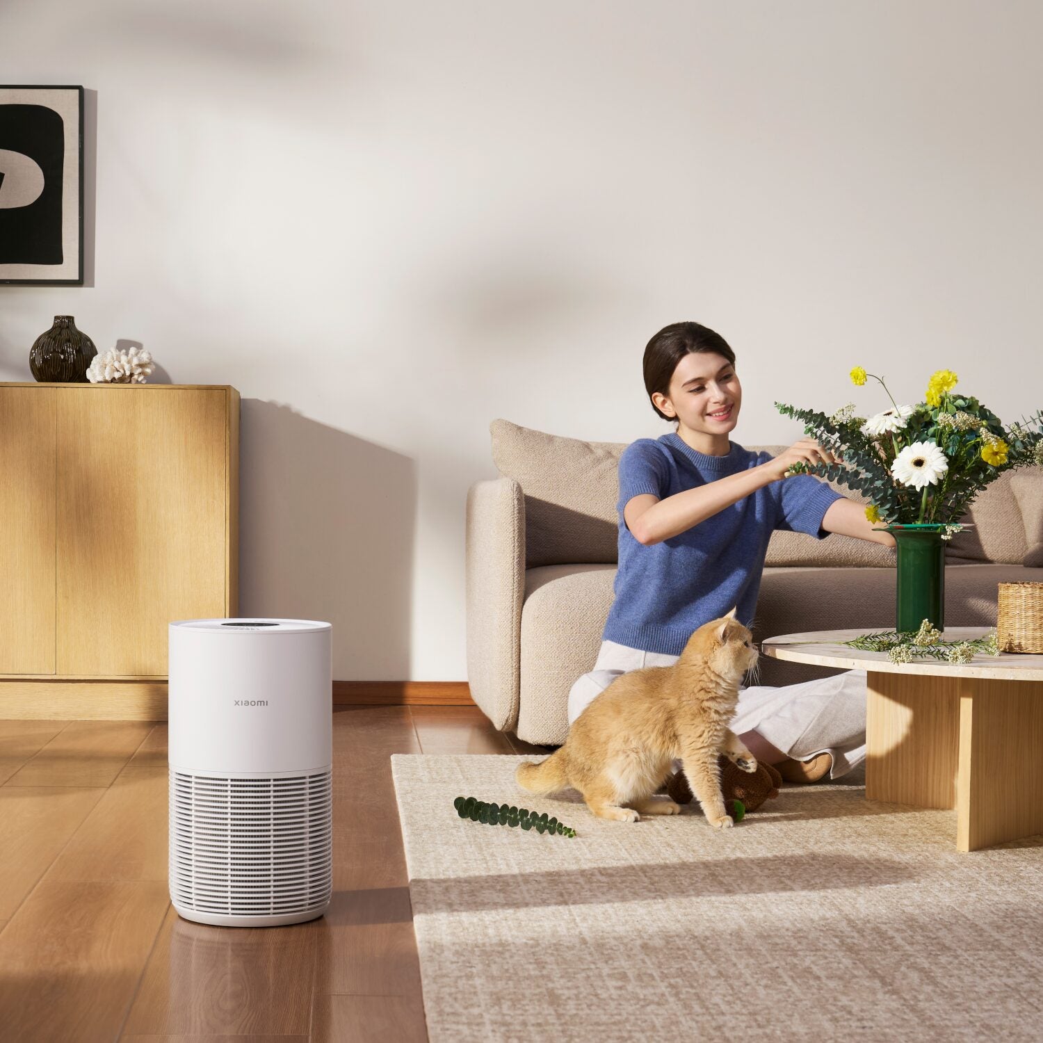 Xiaomi Smart Pet Care Air Purifier
