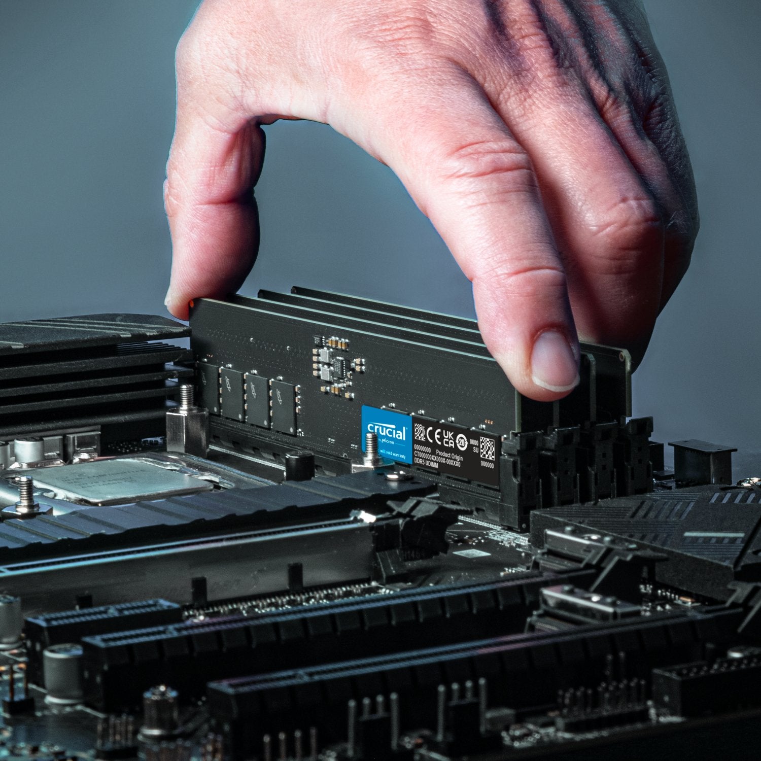 Crucial 16GB 5600MHz DDR5 Desktop Memory-Wolf Media Store