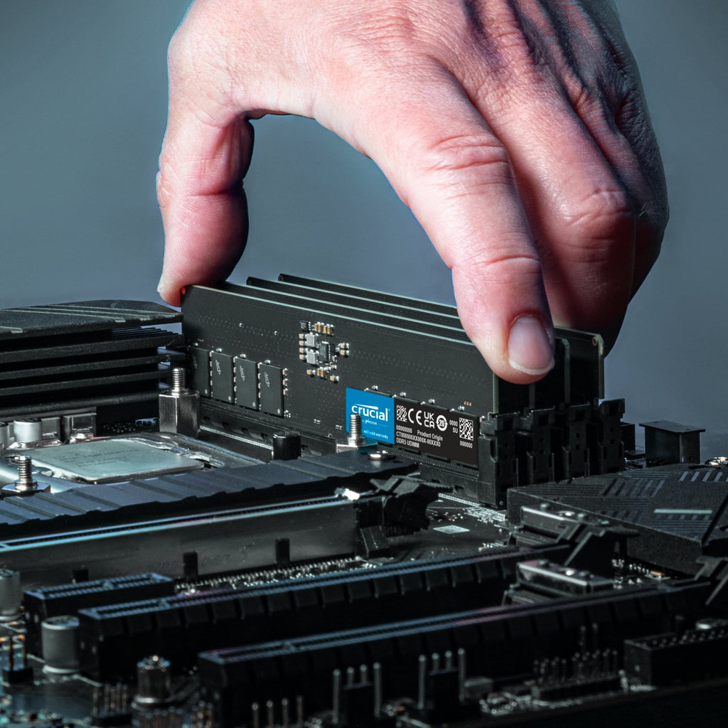 Crucial 32GB 5600Mhz DDR5 Desktop Memory-Wolf Media Store