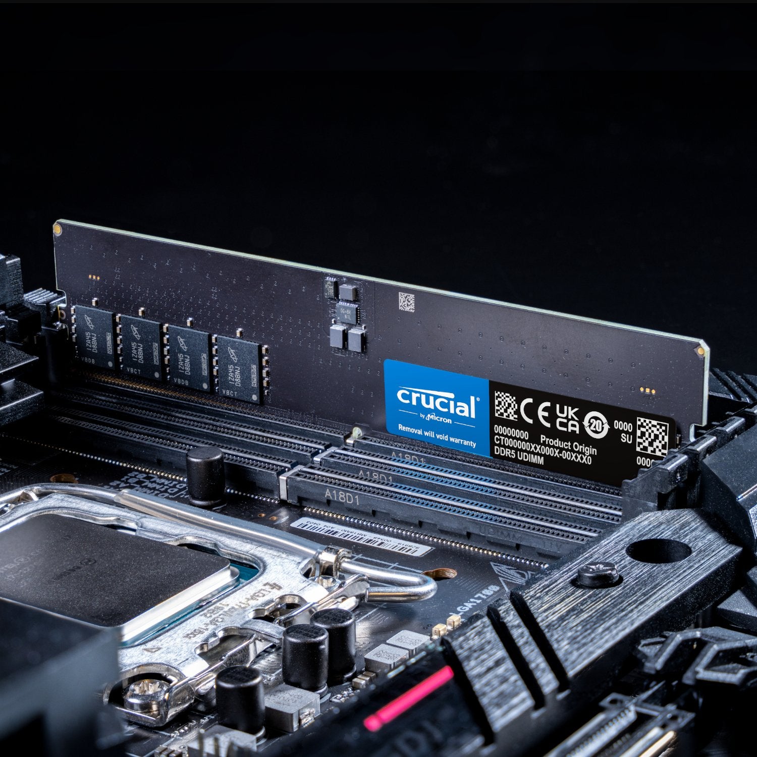 Crucial 32GB 5600Mhz DDR5 Desktop Memory-Wolf Media Store