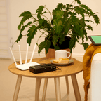 GIZZU 36W 32Wh 8800mAh Mini Dual DC UPS Lithium - Black-Wolf Media Store