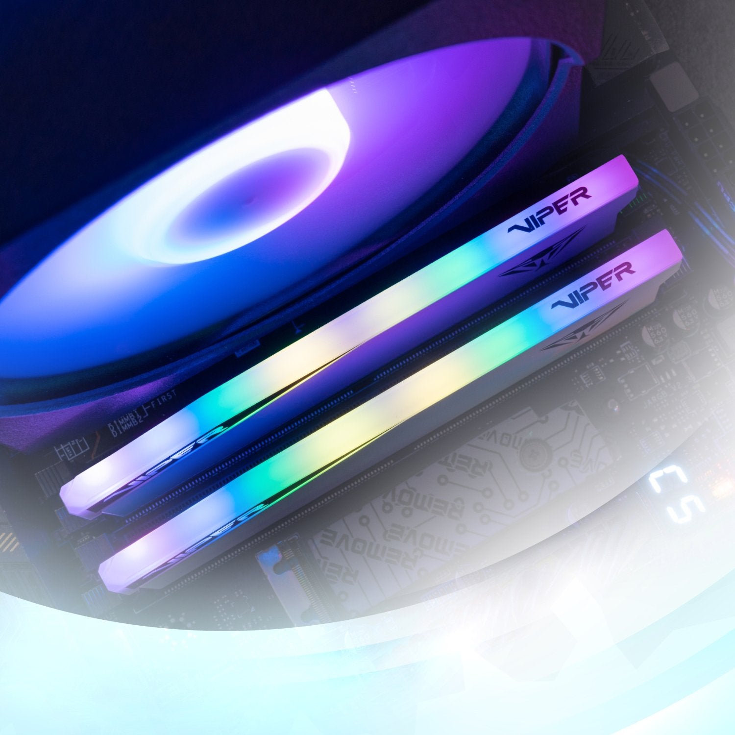 Patriot Viper Elite 5 RGB 32GB 6000MHz DDR5 Desktop Gaming Memory Kit - White-Wolf Media Store