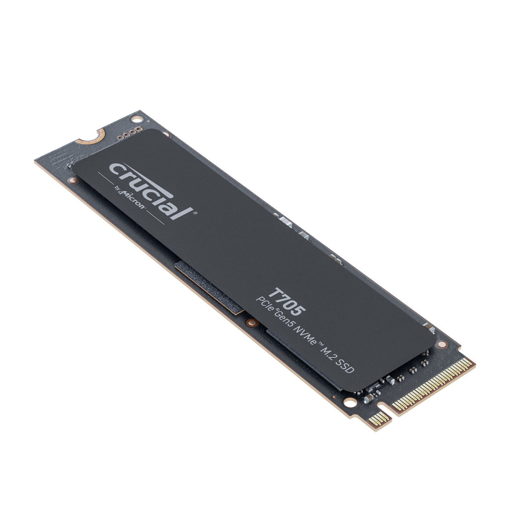 PCBuilder Ryzen 9 9900X MICHELANGELO Windows 11 Creator PC