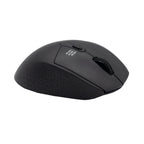 WINX DO Simple Wireless Mouse-Wolf Media Store